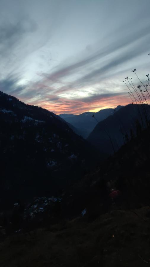Parvatis Lap Luxury Hostel & Camps Kasol Eksteriør bilde
